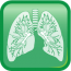 肺学